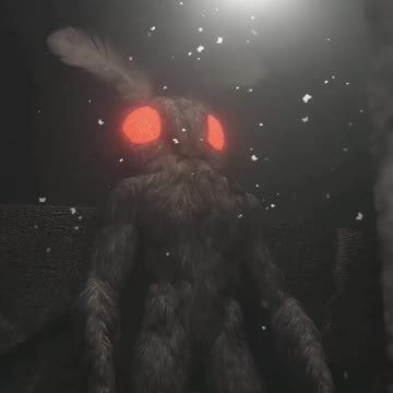 *pets mothman*