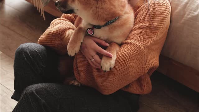 dog reading the Count of Monte Cristo