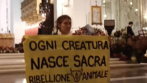 Veglia di Natale, blitz animalisti in Cattedrale a Palermo