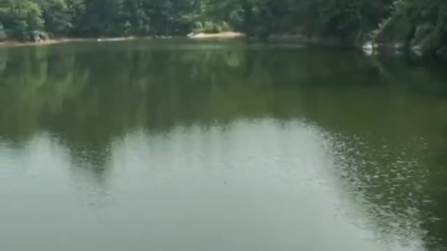 The green trees reflect the color of the lake