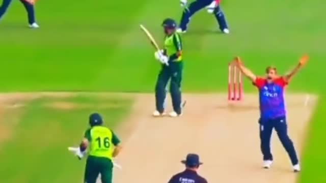 fans-video cricket lovers-video #cricket #cricketlover