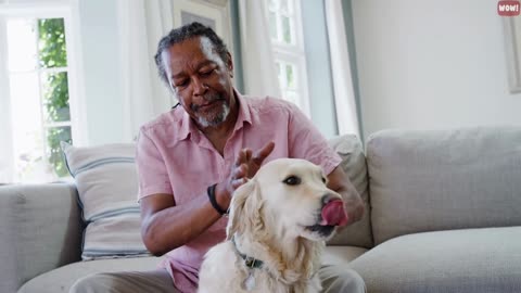 The Meaning Behind 21 Strangest Dog Behaviors | Jaw-Dropping Facts about Dogs you didnt know