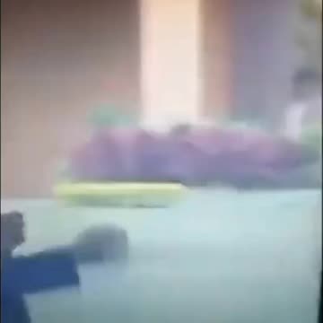 Video Shows Benin Minister Cleaning Shoulder After Being Touched by French President Macron 😜