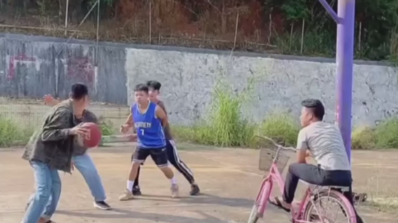 Funny Videos