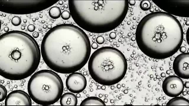 bubbles