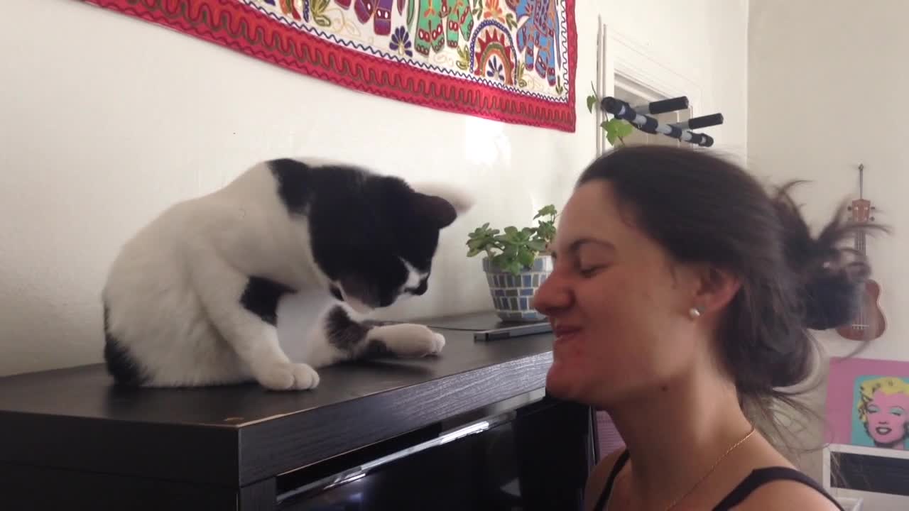 White cat kisses woman