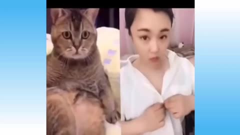 Funny Cats🐈 Dogs 🐕 Video's