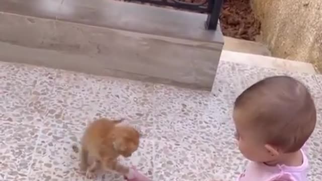 Cute KITTEN playing with BABY