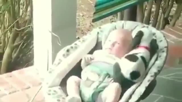 Cute puppy wants to sleep with baby.
