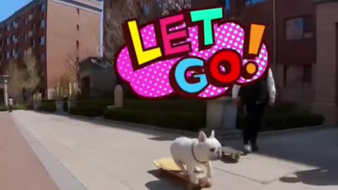 Bulldog Skateboarding
