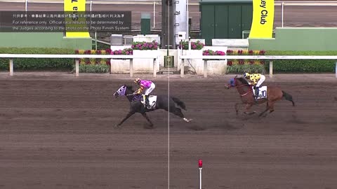 Horse_Race_2022060505_Chinese