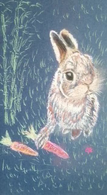 Territorial Moody Rabbit