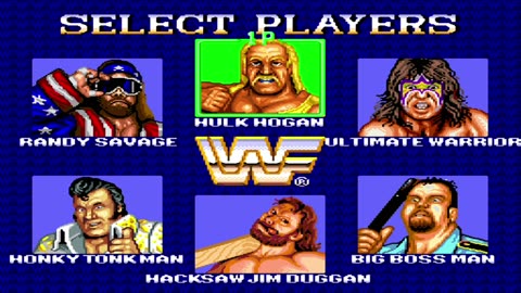 WWF Superstars