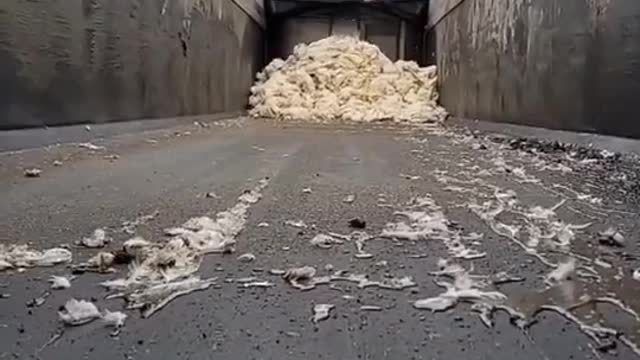 Truckers Having To Dump Product Because Of Government's COVID Policies