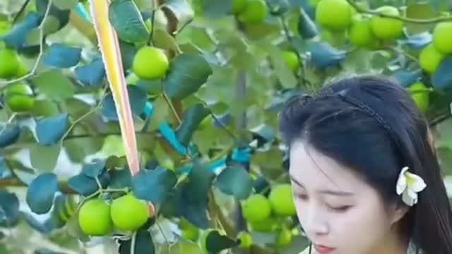 Farm Fresh Ninja Fruit Cutting Desi Satisfying Fruit Ninja Fruit Ideas | Amazing Fruits Video