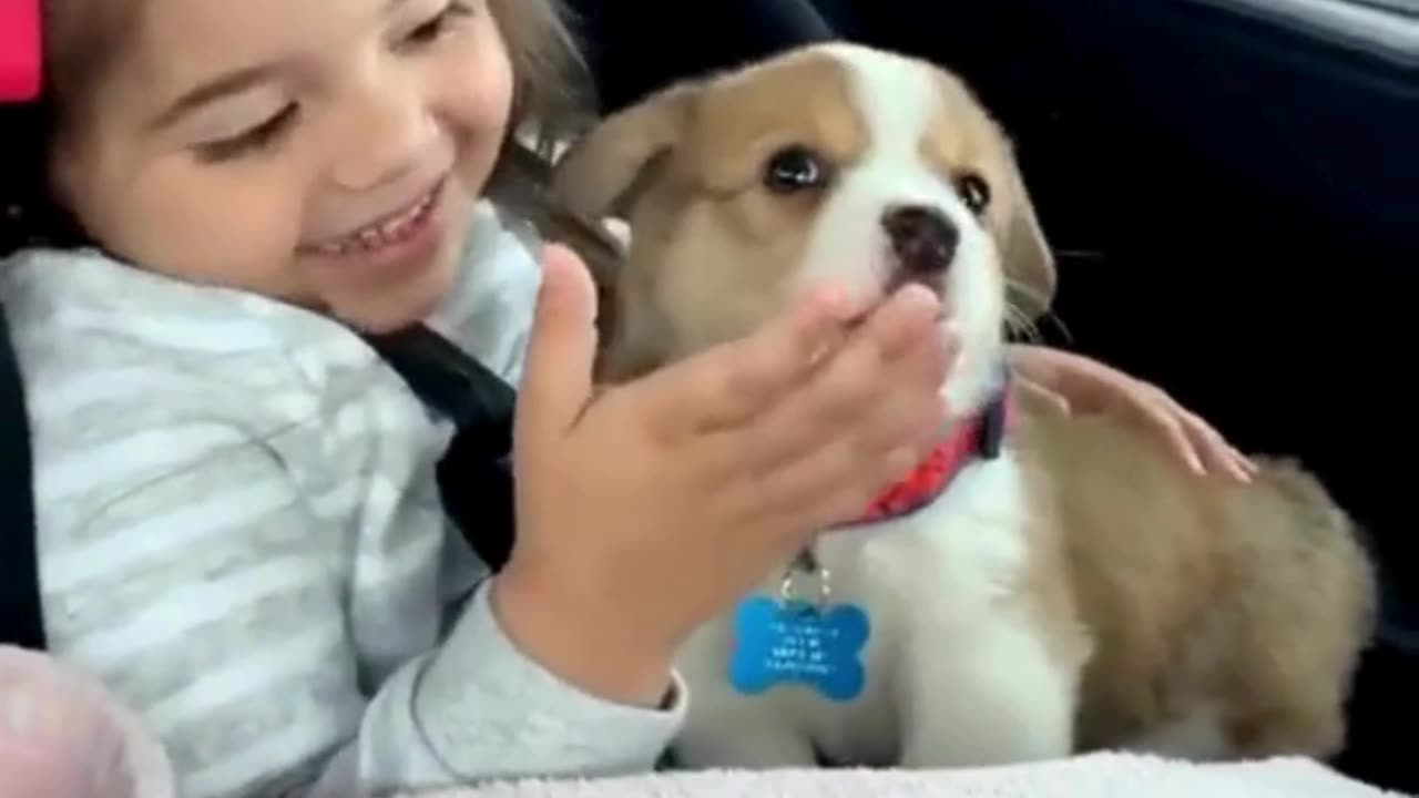 Little girl and her puppy sing! 🥹🐶❤️‍🔥