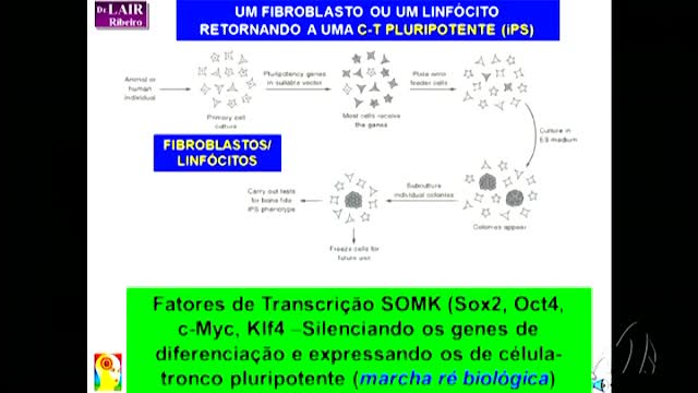 Celulas-tronco - Dr. Lair Ribeiro
