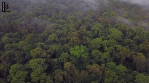 Ethiopian Nature