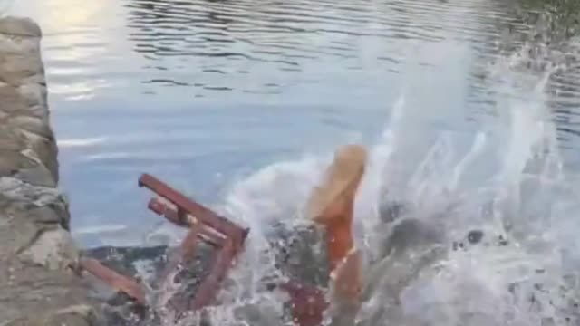 Funny Fails