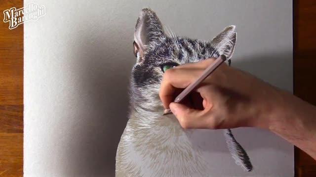 Draw A Beard On The Kitten's Hair