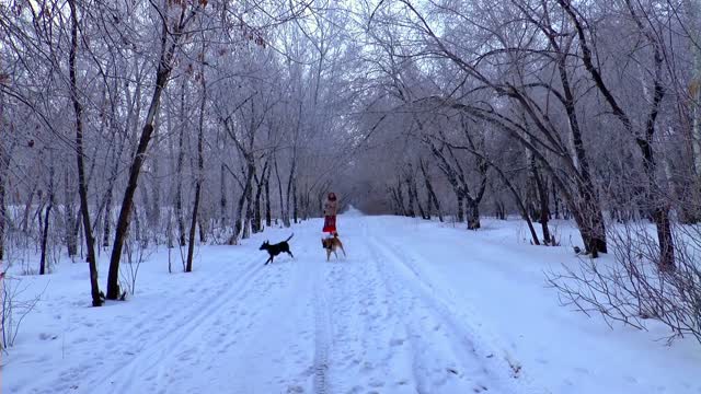 two intime dogs-very cute dog