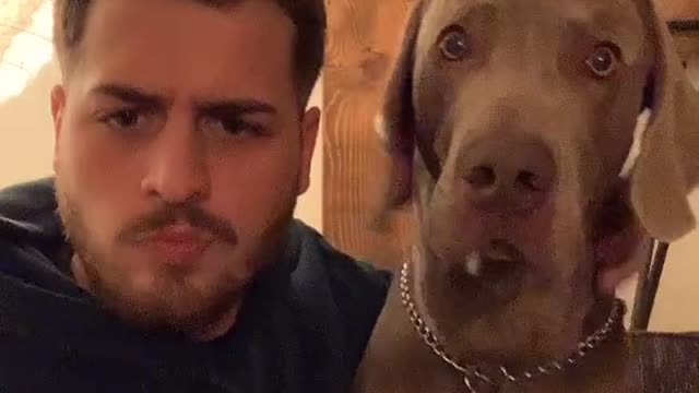 Cute reaction of dog