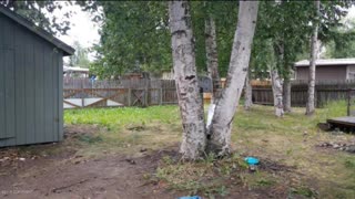 Alaska Real Estate King Home for Sale 2124 Wayne Street Anchorage AK 99504