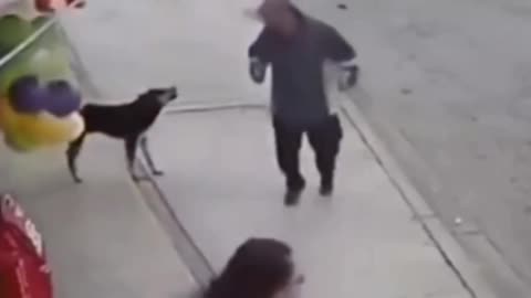 Animal very funny 😁 video