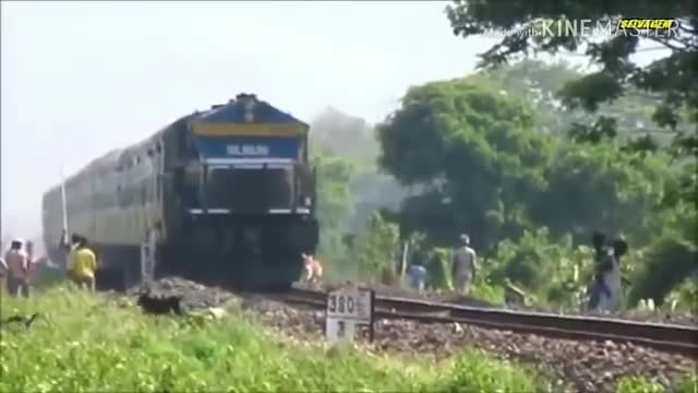 Animals that hit by train -Animals vs Train