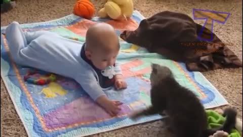 Funny and cute baby pulls the cat by the tail😹