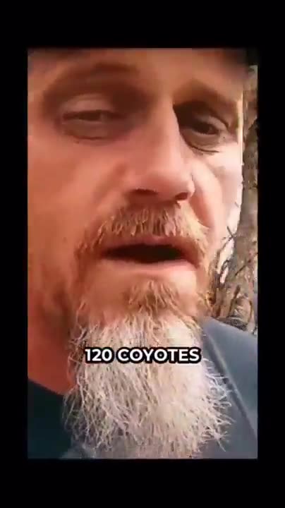 "Court?" He ain't goin'