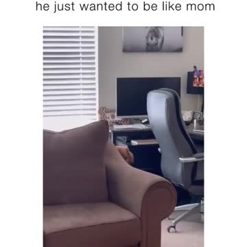 Mom Understand The Cute Puppy's Intention