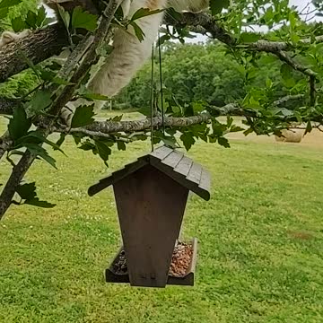 Jasper being naughty!