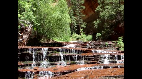 The Zion Wilderness - Zion National Park