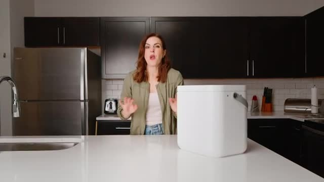 WasteReviver: Kitchen Composter with UVC Light Sanitizer