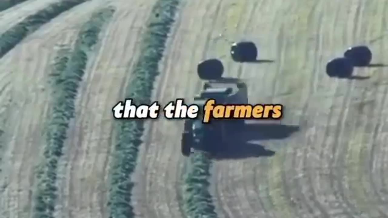 ONLY STUPID PEOPLE EAT MC DONALDS