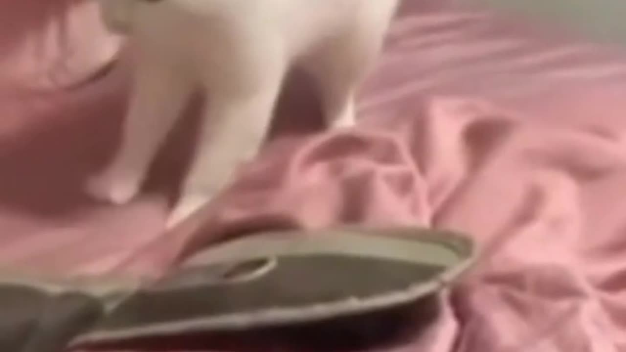 Funny Fails Compilation🤣🤣😂😂#viral#best fails#comedy#funn