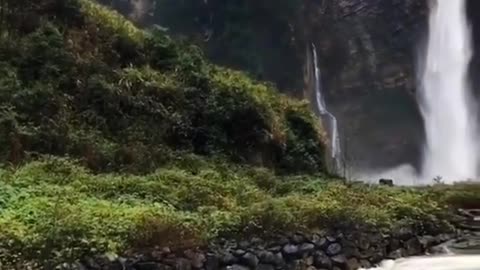 Top Nature Short || Beautiful Nature Short Video || Nature Short Status Video