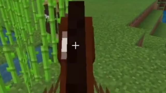 Funny minecraft clip