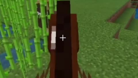 Funny minecraft clip