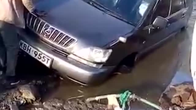 Random Onlooker Falls In A Ditch