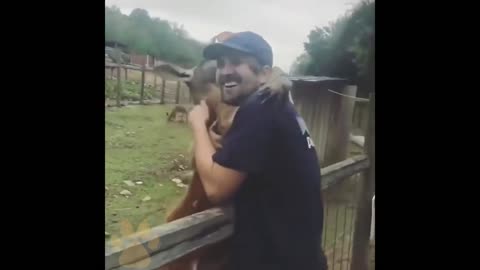 Animals That Do Not Forget Their Owner After Years1