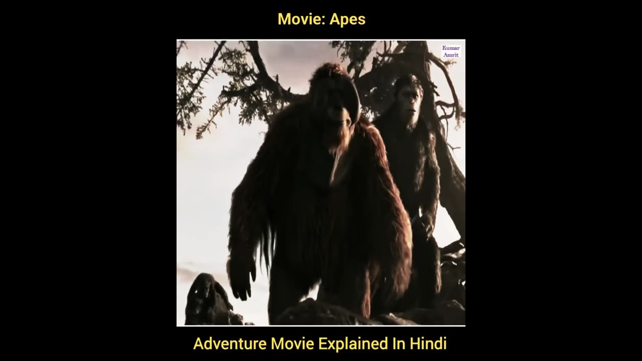 Apes Adventure Movie Explained In Hindi