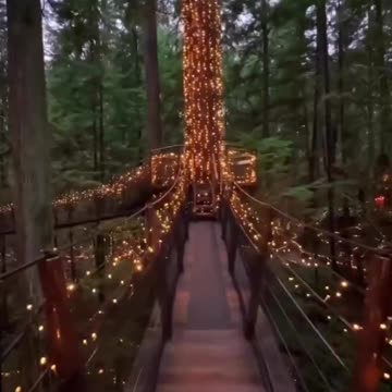 Fascinating Capilano Suspension Bridge in Vancouver #naturalbeauty
