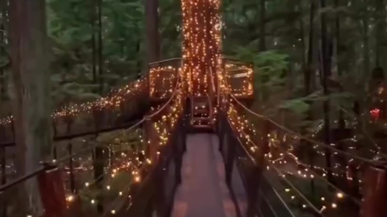 Fascinating Capilano Suspension Bridge in Vancouver #naturalbeauty