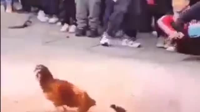 Don't underestimate anything