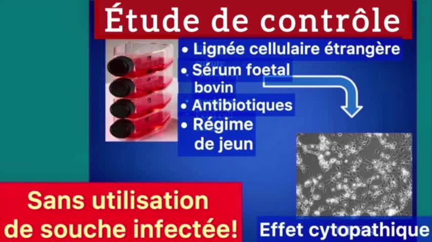 Démystification officielle de la virologie