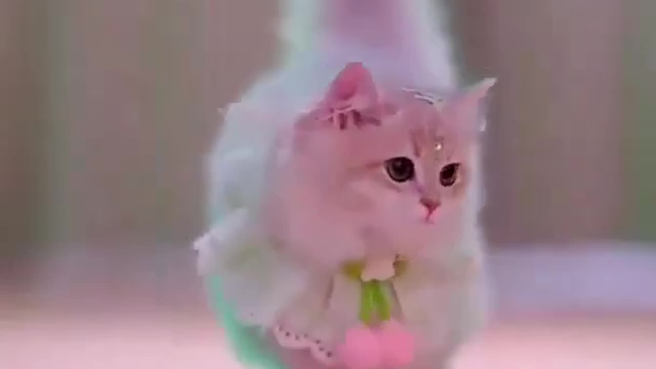 Funny Animal Videos 2024 Best Dogs And Cats Videos πΊπ #523