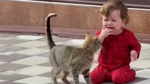 Cat trying to calm baby