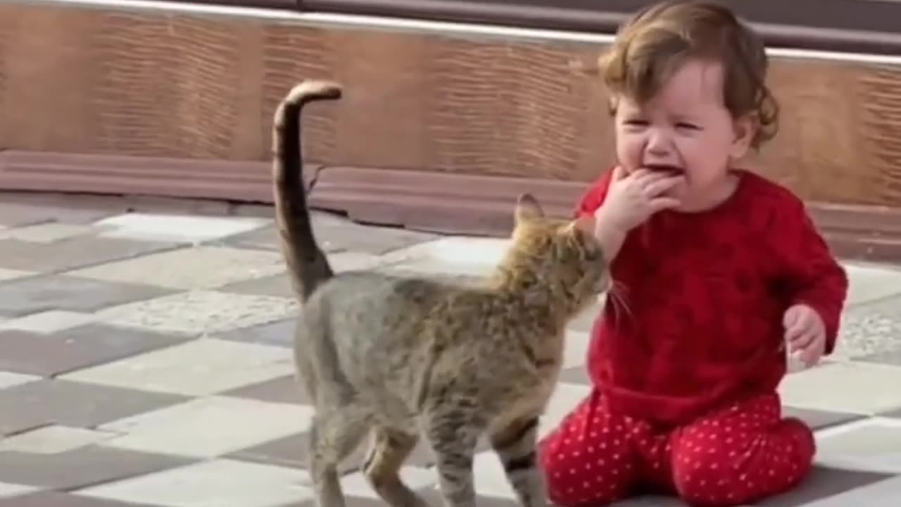 Cat trying to calm baby